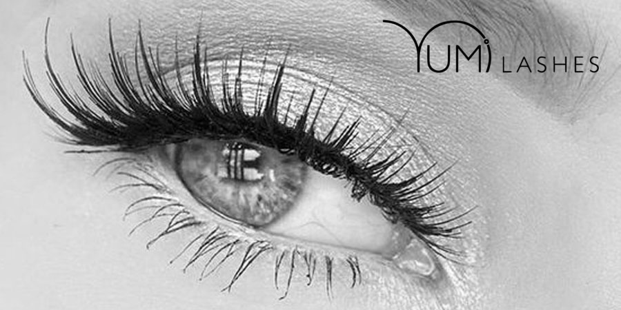 YUMI™ LASHES - Beauty. Pest. Brow.